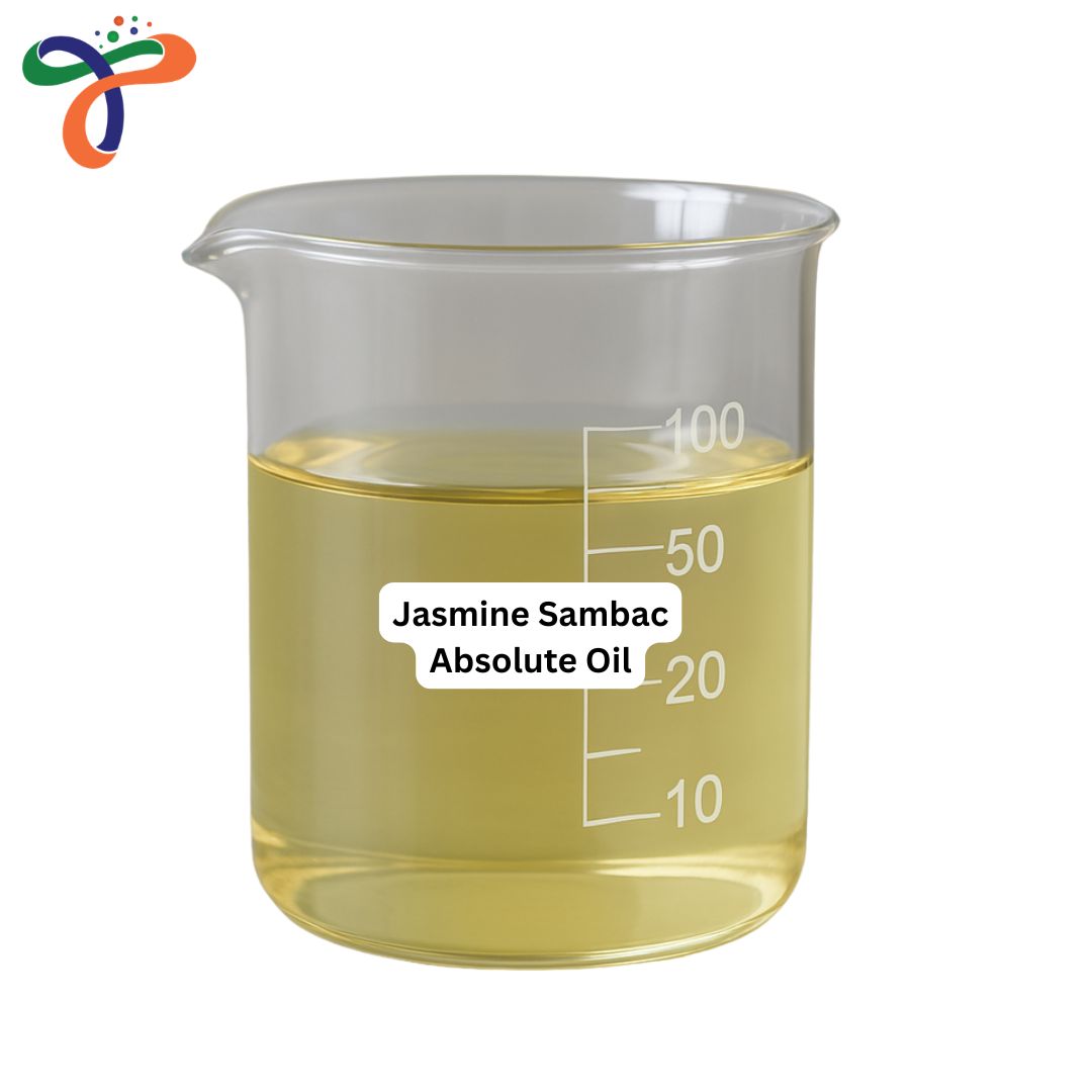 Jasmine Sambac Absolute Oil